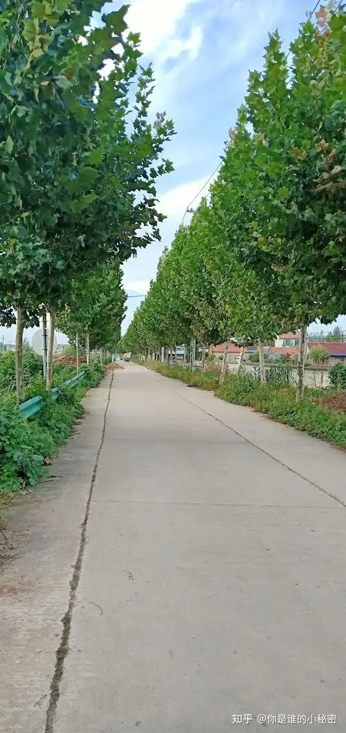 乡村的小路缠缠绵绵