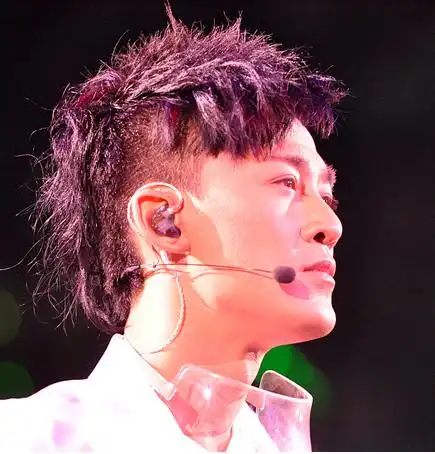 林峰这个是什么发型