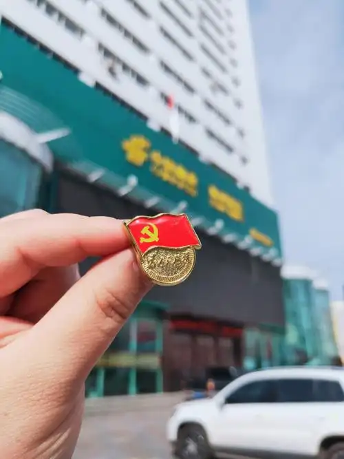 我们的党徽永远熠熠生辉!