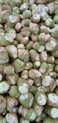 [腌大头菜批发]腌制大头菜 散装 1个月价格0.3元/斤 - 惠农网