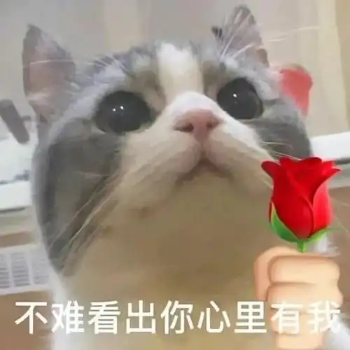 不难看出你心里有我 猫咪举花 - 猫咪举花花表情包_猫猫_撩妹撩汉表情