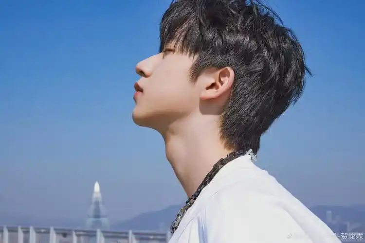 贺峻霖更新了一组九宫格氛围感大片……_高清图集_新浪网