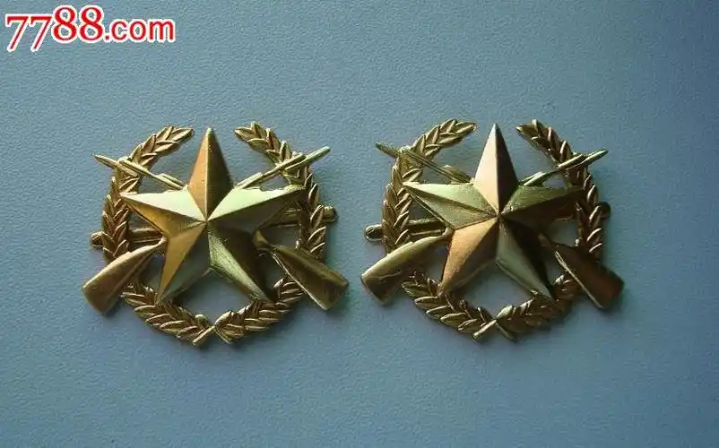 金色高级士官肩花标志-价格:25元-se33113180-老肩章/领章/领花-零售