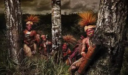 老兵回忆在野人山野人部落送给过我们粮食