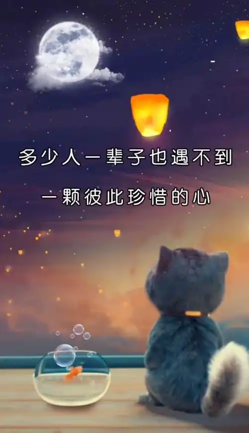 此生有你安稳足矣