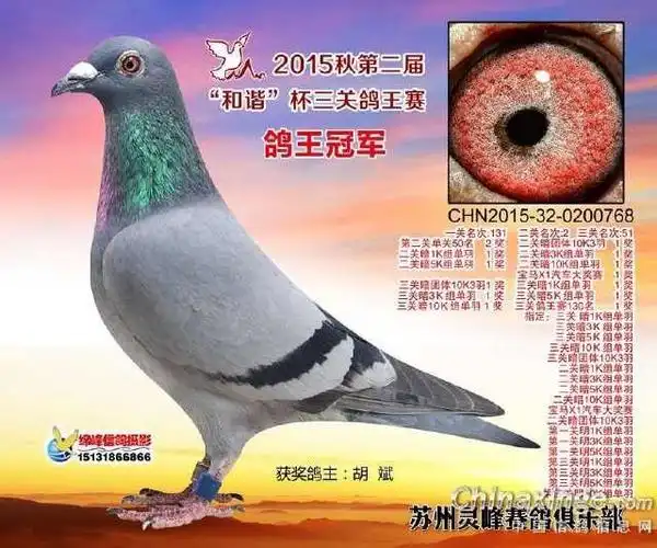 中国天一vs詹姆士 苏州灵峰终极决战上演豪门盛宴!