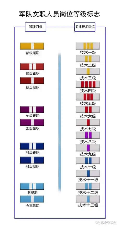 文职军官傻傻分不清送你一套军衔识别手册