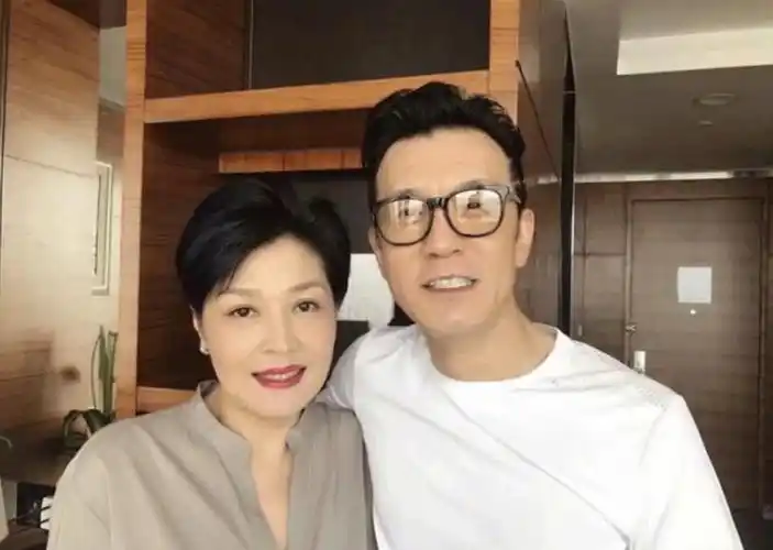 哈文改嫁的丈夫是谁(李咏去世后哈文又再嫁人了吗)-心语百科