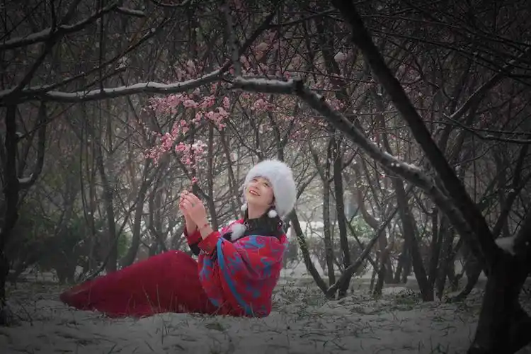 风花吹雪映红梅,嫣然一笑又一春.