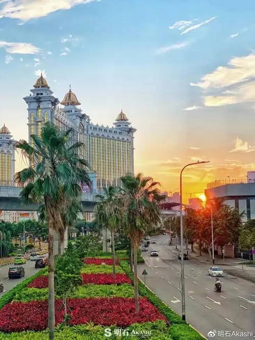 我这半年,随心飞65天,20 城市,节省5万|随心飞小结(多图预警)