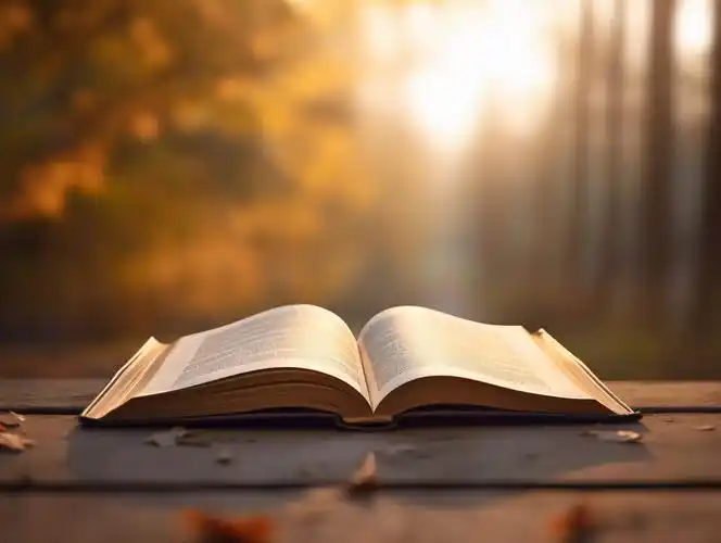 阳光下的木制书桌上一本打开的书读书看书阅读投入学习知识文化世界