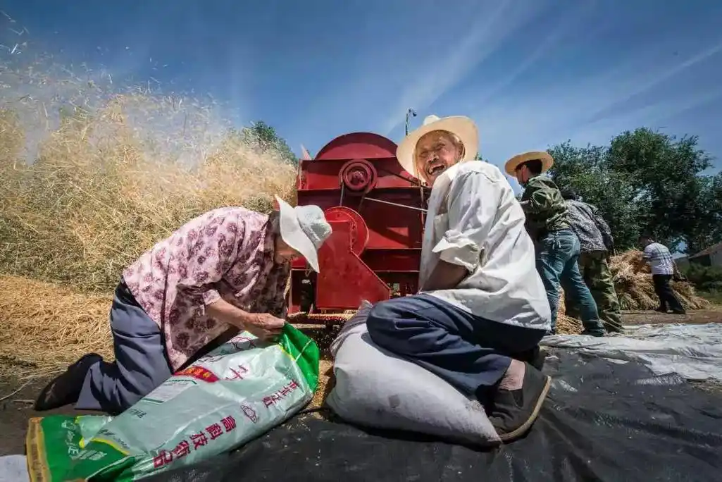 这就是山东这就是山东工人省职工网络摄影大赛邀您领略劳动之美