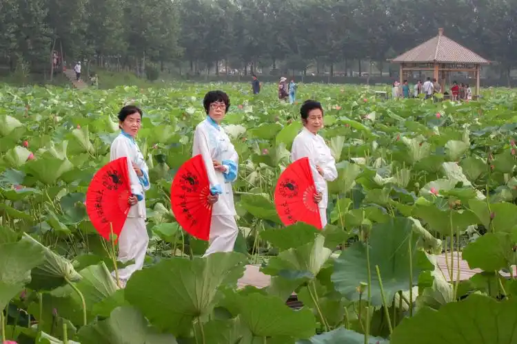 这是太极扇造型.