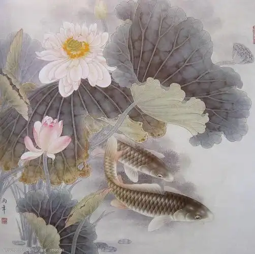 工笔国画荷花鲤鱼图片