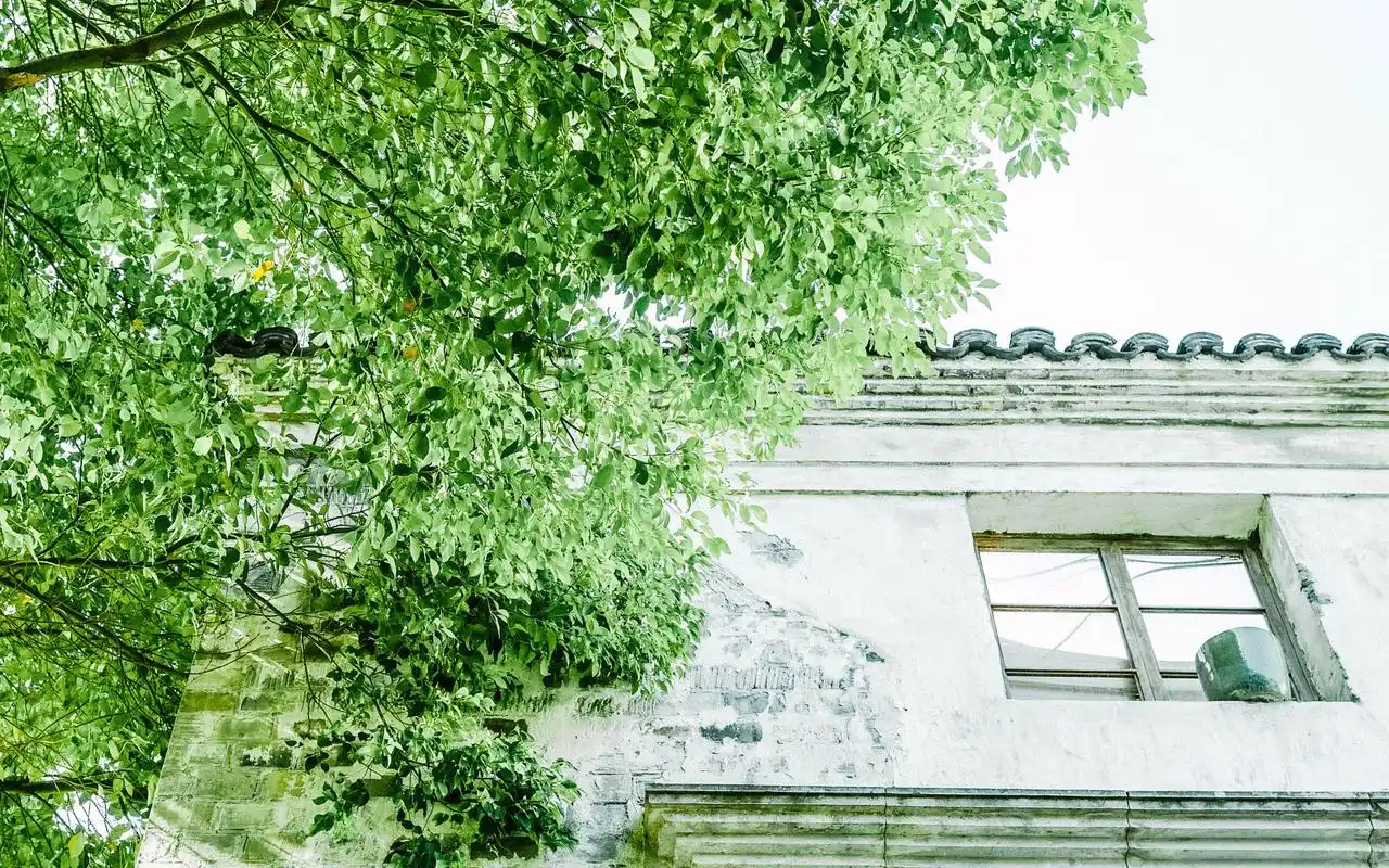 文艺小清新绿色淡雅壁纸_简单干净的生活