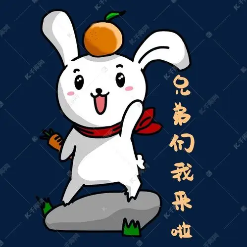 兔子我来啦表情包