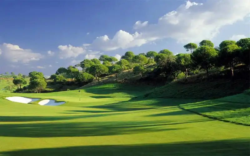 首页 桌面壁纸 风景壁纸 精选美丽草原风景绿色护眼图片高清壁纸宽屏