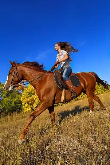 骑马图片_骑马高清图片_全景视觉
