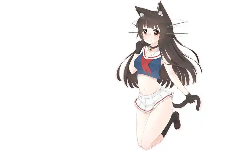 软萌可爱二次元猫耳美女桌面壁纸_卡通动漫_壁纸下载_美桌网