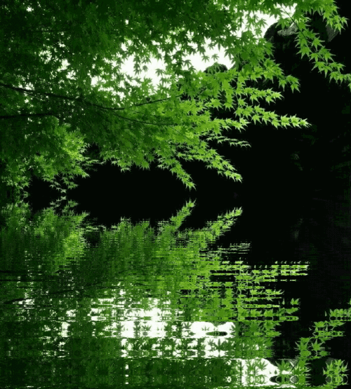 690_766gif 动态图 动图