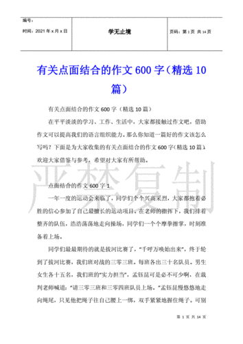 有关点面结合的作文600字(10篇).docx 14页