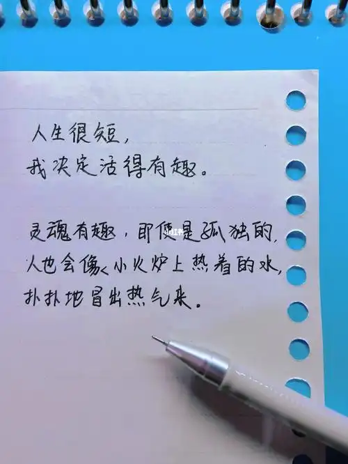 人生很短我决定活得有趣