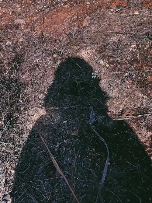 给影子别上一朵小花花