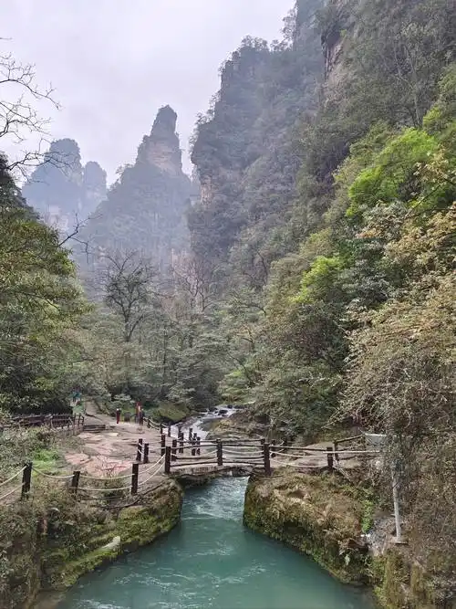 阳春到张家界旅游攻略,需要多少钱 ,旅游达人的小众景点推荐
