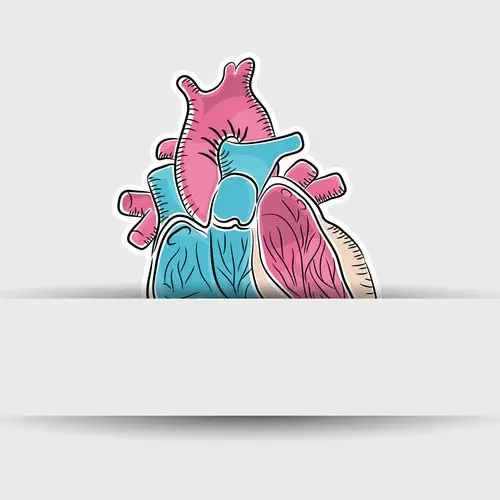 卡通信纸解析图背景矢量素材下载(图片id:400619)_-办公学习-矢量素材