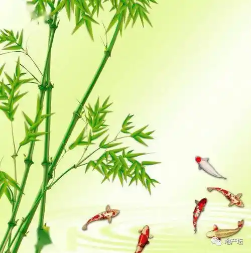 中老年头像大全:竹报平安,绿色竹林竹子微信头像