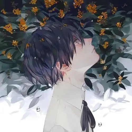 2020最火微信男生动漫手绘头像,卡通头像图片-回车桌面