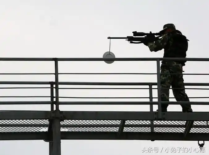 祁厅长同款 中国cs/lr4狙击步枪 别称26式