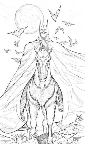 终于历时近1个月的67第一届世图杯手绘蝙蝠侠大赛开奖啦