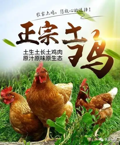 七夕去乐家山约会吧!滑草免费,用柴火灶亲手做菜给ta吃