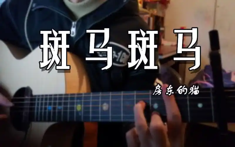 斑马斑马(cover 房东的猫)