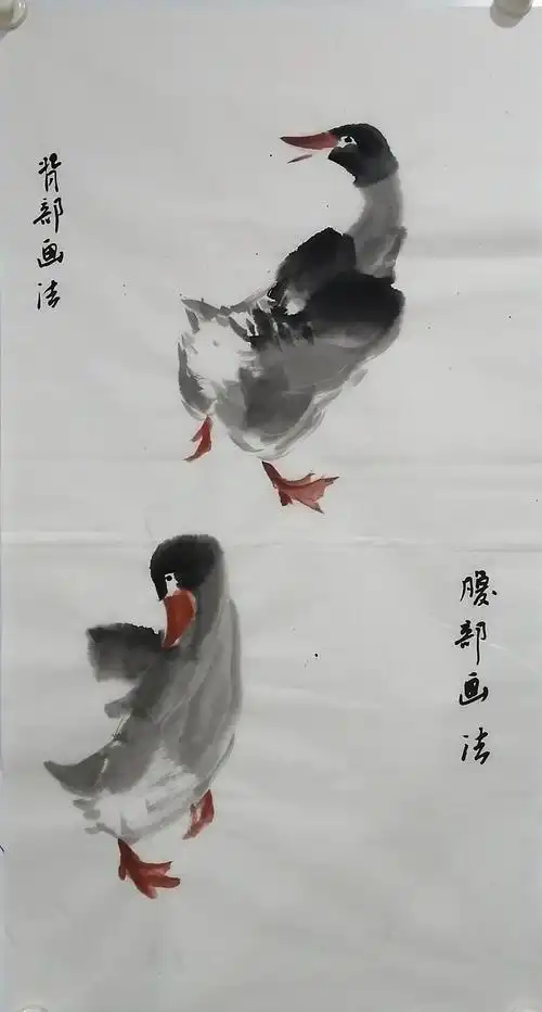 新视觉美术中心成人国画课堂《鸭子的画法》习作