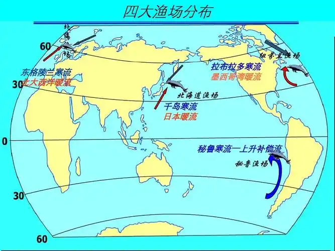 东场格陵兰流 北大西洋寒暖