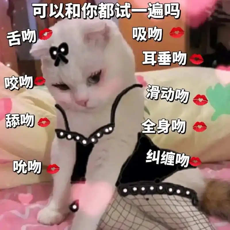 适合和对象发的表情包.#温暖平安过大年 #超可爱表情包 #快 - 抖音