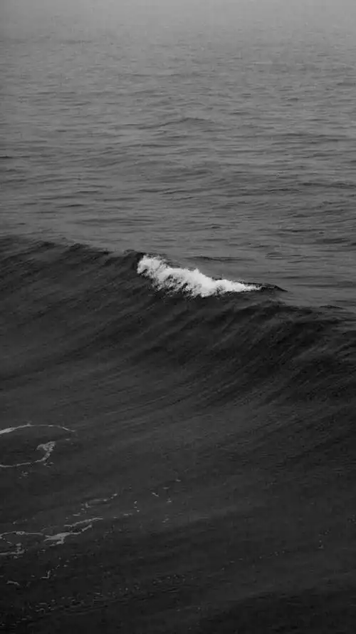 黑白风格的壁纸,冷的很高级