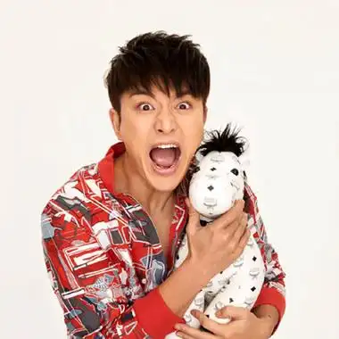 贾乃亮头像高清图片