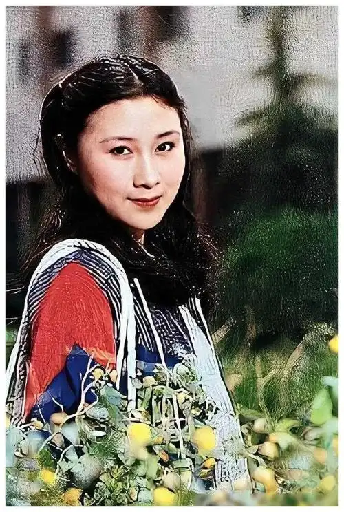 少林寺女星丁岚两次婚姻两次离婚60岁人生戏剧般的经历