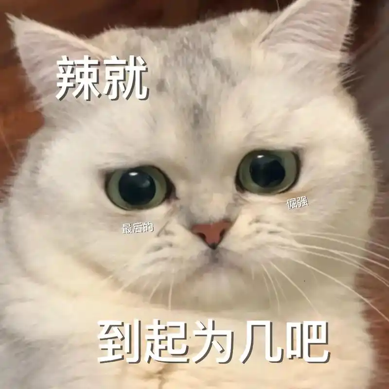 系啊 我讲话芥末机车 你又整莫会爱我呢 #可爱表情包 #猫咪 - 抖音