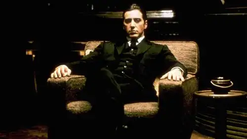 3分 / vip / 犯罪 惊悚 剧情 主演 阿尔·帕西诺 罗伯特·德尼罗 约翰