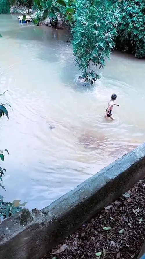 农村的孩子从小就会游泳不会假