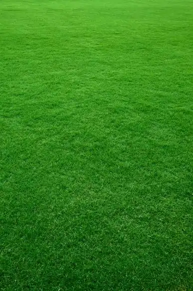 草,背景,绿色,草地,草坪图片素材_id:148765537