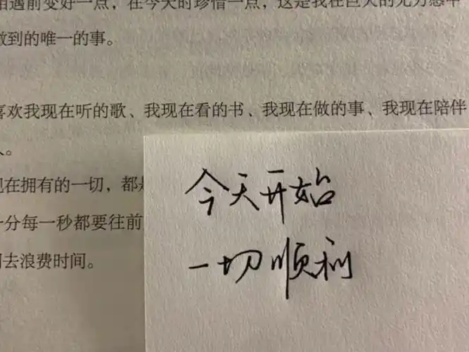 网易云文案谁也没有规定一朵花必须长成向日葵或者玫瑰励志篇