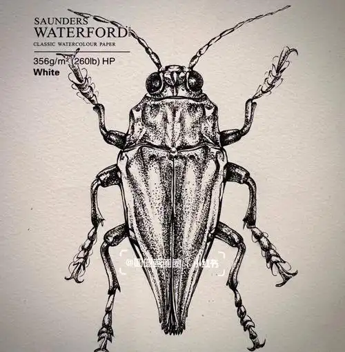 樱花针管笔005/01300g细纹水彩纸#寻找小红书绘画大神  #线描 #黑白