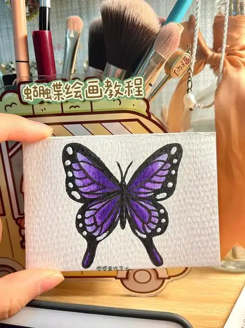 蝴蝶画法教程来咯