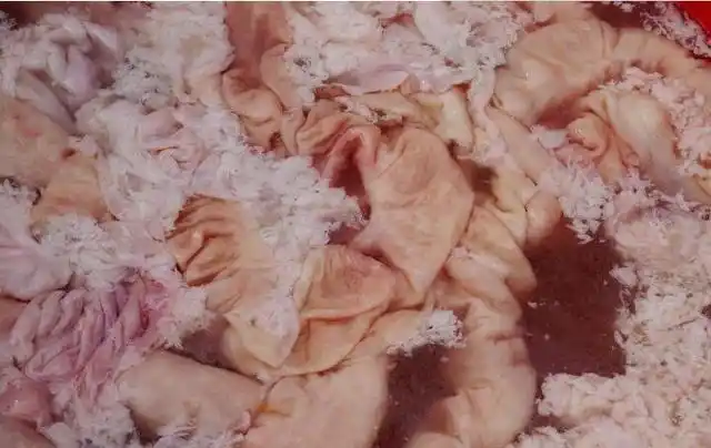 喝什么最刮肚子里面的油水