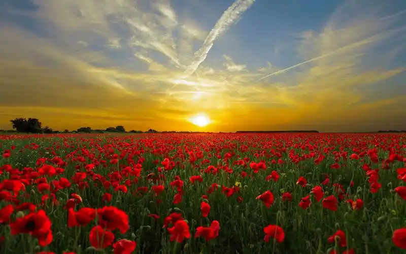 太阳,天空,唯美,意境,风景旭日东升 壁纸图片